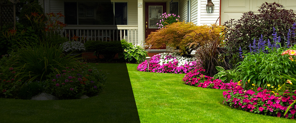 Dover Landscapers
